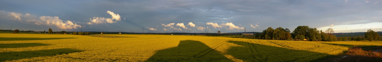 Kolovraty