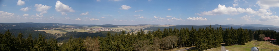 Plešivec