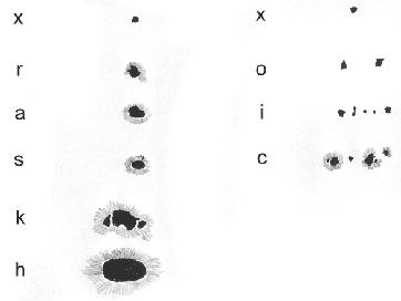 \resizebox{80mm}{60mm}{\includegraphics{spots.eps}}